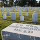 Illustration for article titled Neglected Cemeteries Reveal History’s Priority